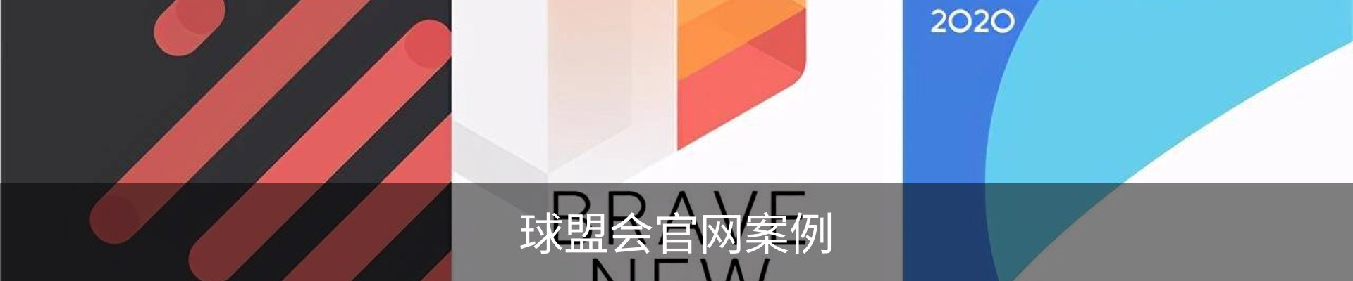球盟会官网案例